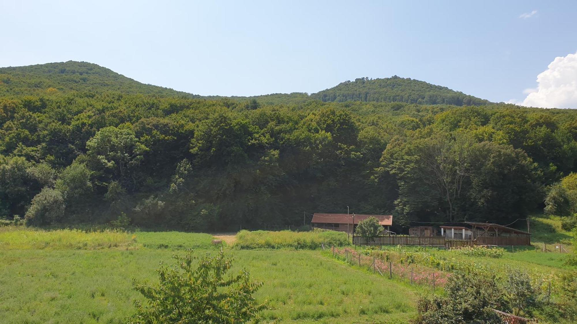 Solyomvar-Lak Komloska Exterior photo